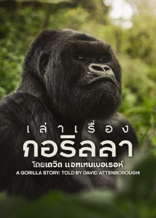 A Gorilla Story (2026) เล่าเรื่องกอริลลา โดยเดวิด แอทเทนเบอเรอห์ เซอร์เดวิด