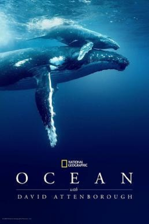 Ocean with David Attenborough (2025)